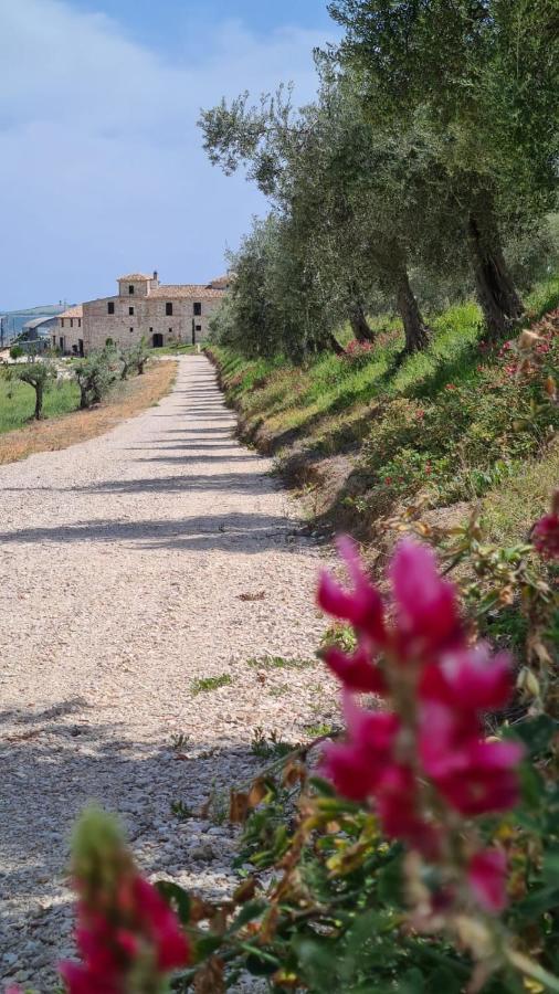 Castello Di Petecciano B&B Mosciano SantʼAngelo Buitenkant foto
